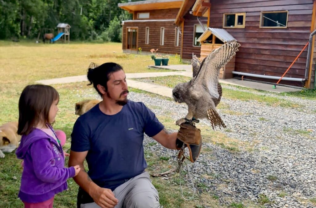 Hombre sosteniendo una especie de búho chileno en su mano con una niña observando